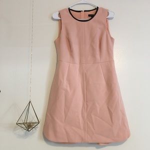 Banana Republic Pink 60s Inspired Dress - 8P